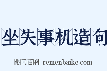坐失事机造句是什么意思的图片